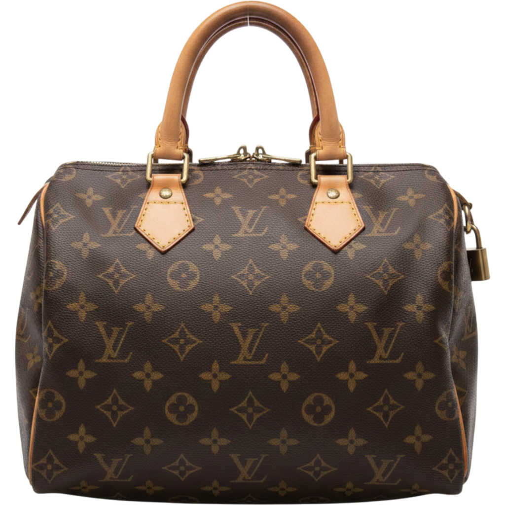 LV Monogram Speedy 25